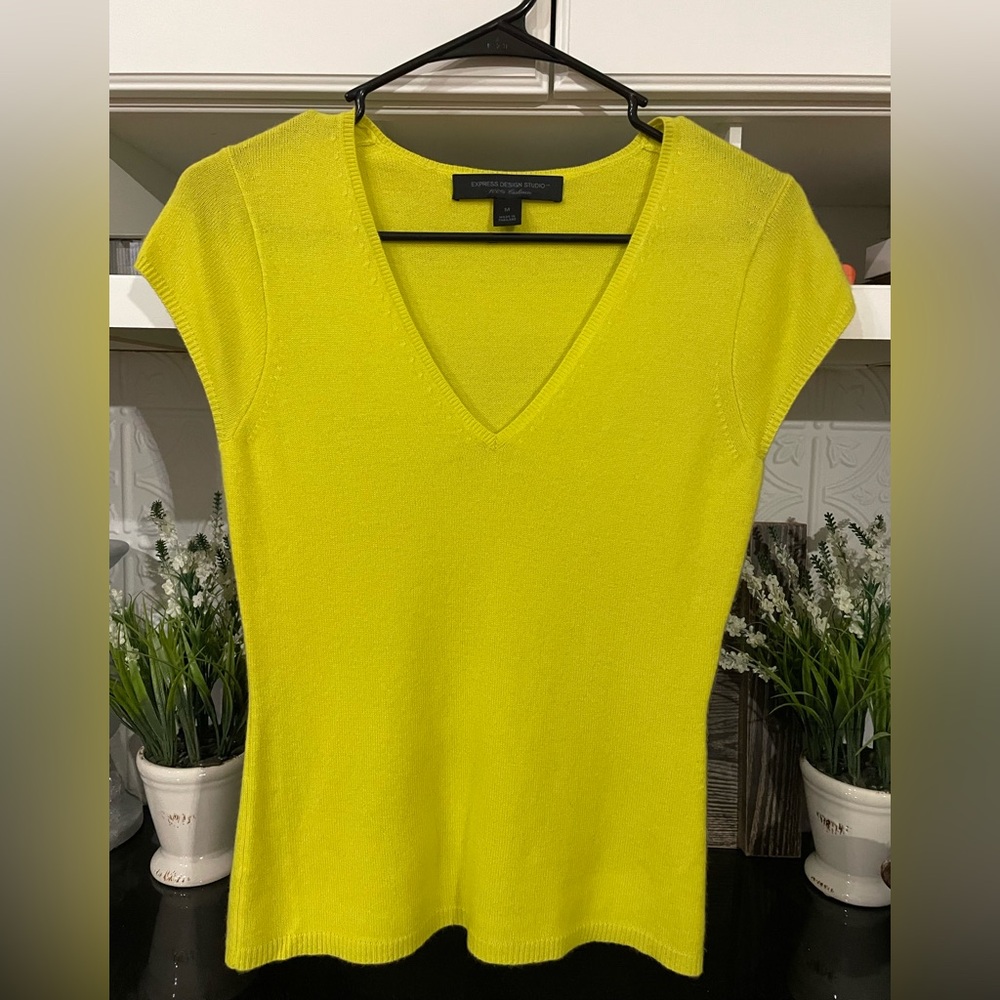 Express Design Studio 100% Cashmere Sweater